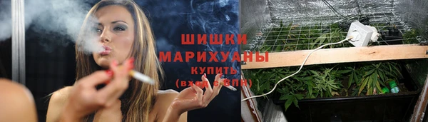 трава Беломорск