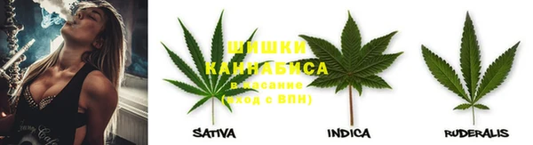 трава Беломорск