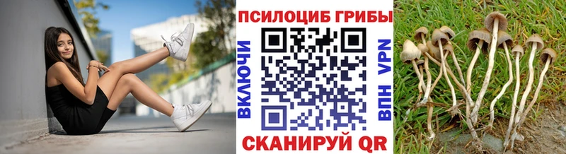 Галлюциногенные грибы Psilocybine cubensis Луховицы